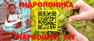 PSILOCYBIN Бугуруслан