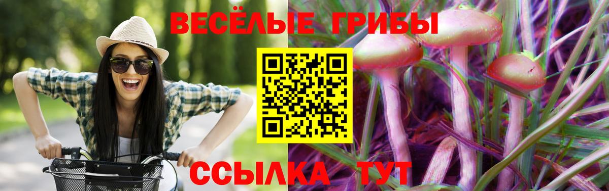 Галлюциногенные грибы Psilocybe Нижневартовск