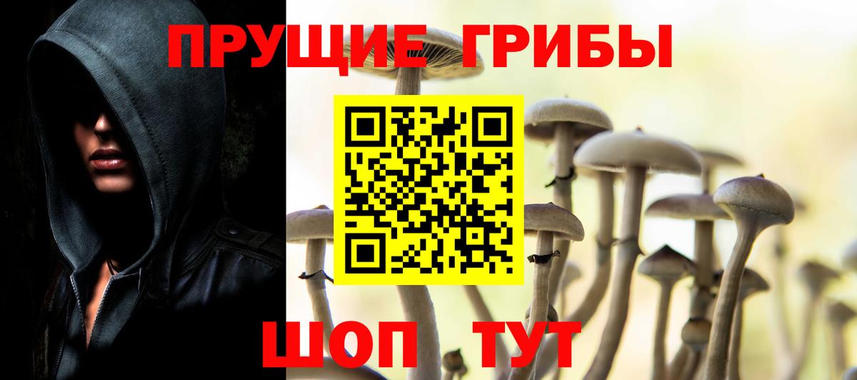 Нижневартовск  купить   Вход с VPN  Псилоцибиновые грибы Psilocybine cubensis 